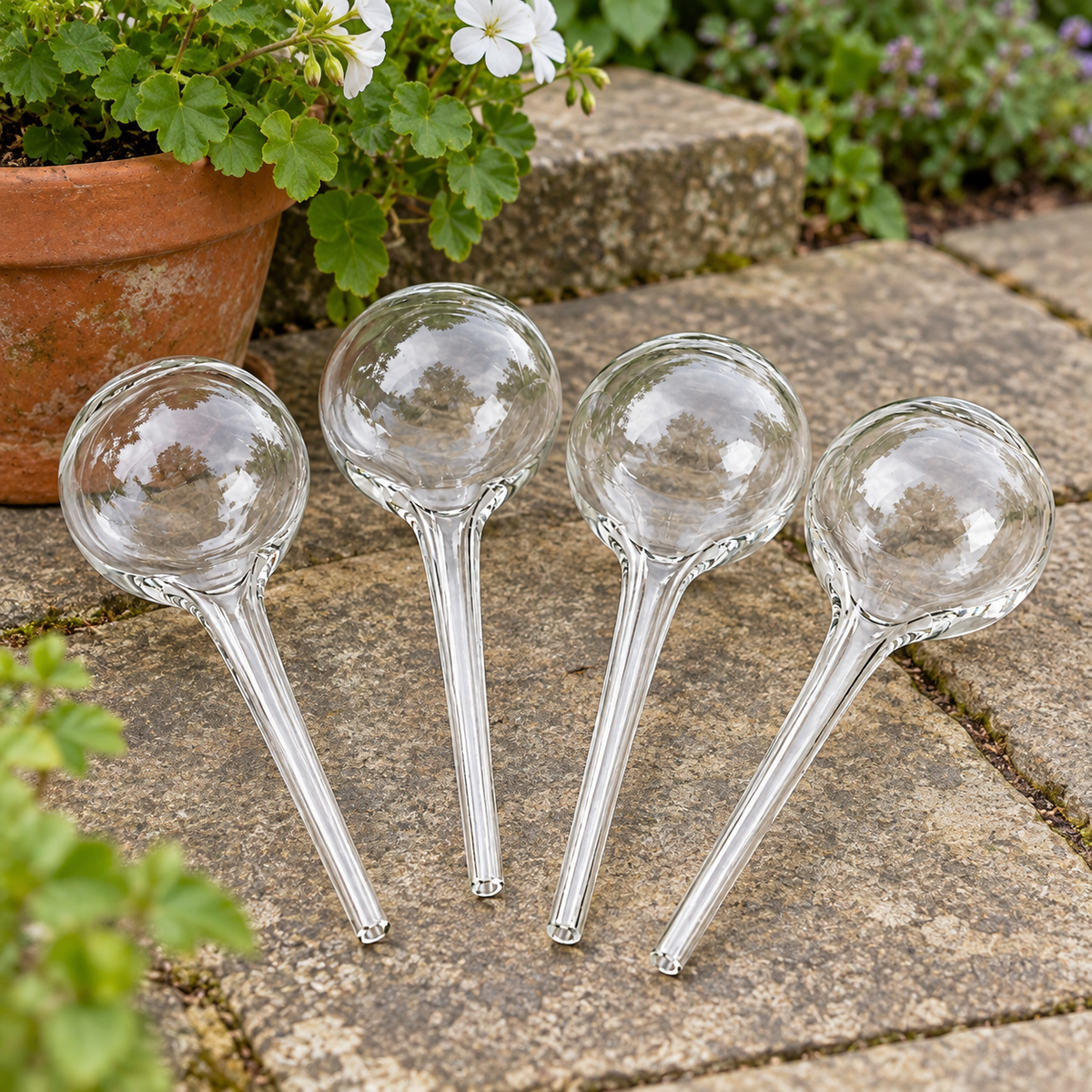 Plant Watering Globes - Set of 4